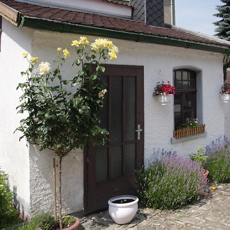 3 Seiten Ferienwohnung Jéna Kültér fotó