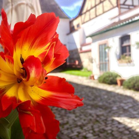 3 Seiten Ferienwohnung Jéna Kültér fotó