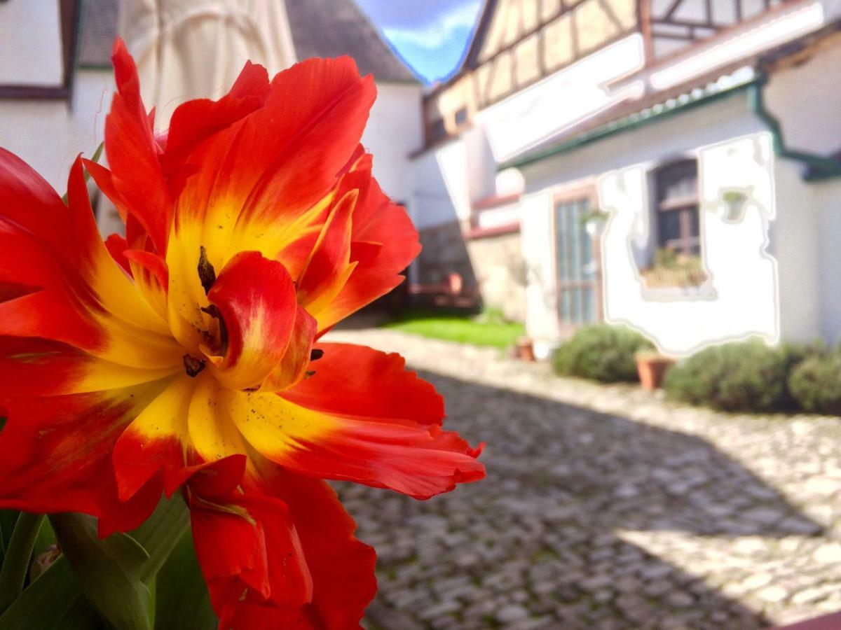 3 Seiten Ferienwohnung Jéna Kültér fotó
